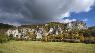 Distinctive Jurassic limestone cliffs in the upper Danube Valley, surrounded by autumn vegetation,