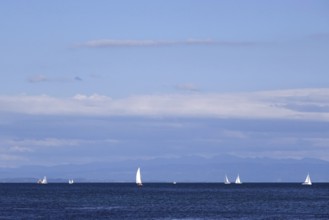 Lake Constance with sailboats, Baden-Württemberg, summer, Germany