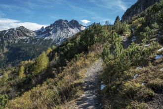 Hiking trail around the pulpit in autumn vegetation, in the back mountains of the Allgäu Alps,