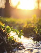 Beautiful spring detailed stream of fresh water, vibrant blooming young green plants, wallpaper