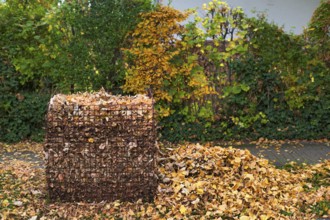 Public collection container, leaf basket, steel mesh compost basket, for collecting autumn leaves,