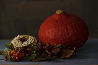 Autumn still life with pumpkin, sunflowers, chestnuts, October, Germany
