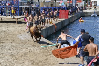Bous a la Mar Fair, in English Bulls in the Sea, Bullfighting, Javea or Xàbia, Alicante Province,