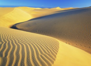 Sand dunes, Maspalomas, Playa del Ingles, Gran Canaria, Canary Islands, Spain