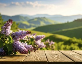 Beautiful Spring Lilacs Bloom Over Wooden Table with Rolling Hills in Background, sunrise at