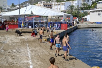 Bous a la Mar Fair, in English Bulls in the Sea, Bullfighting, Javea or Xàbia, Alicante Province,