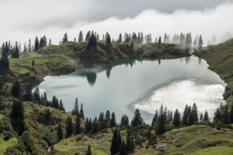 Seealpsee, Allgäu Alps, Nebelhorn, Oberstdorf, Oberallgäu, Allgäu, Bavaria, Germany