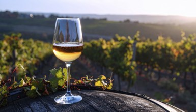 A glass of 10-year-old tawny wine placed on a barrel in a vineyard restaurant, vineyard landscape