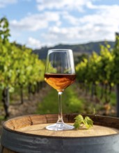 A glass of 10-year-old tawny wine placed on a barrel in a vineyard restaurant, vineyard landscape