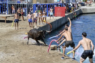 Bous a la Mar Fair, in English Bulls in the Sea, Bullfighting, Javea or Xàbia, Alicante Province,