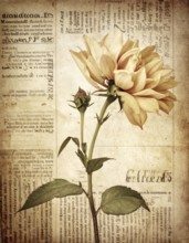 Grunge old public newspaper, texture background wallpaper illustration, vintage tattered yellow