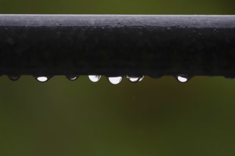 Drops of water, rainy weather, Germany
