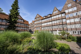 Facades of the historic brick buildings, inner courtyard, view over the city, Peterstraße,