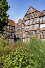 Facades of the historic brick buildings, inner courtyard, view over the city, Peterstraße,