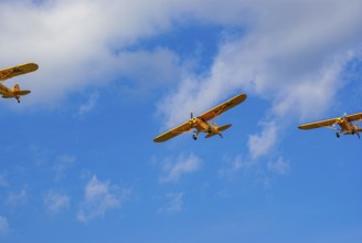 Three Piper PA-18 Super Cub aeroplanes of the Bravo Lima Formation flying in formation during an