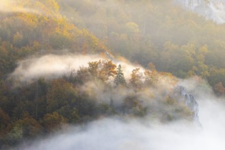 View from the Knopfmacherfelsen into the Danube valley, limestone rock, rock face, mixed forest,