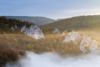 View from the Knopfmacherfels into the Danube valley, limestone rock, rock face, mixed forest,