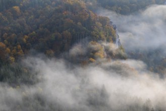 View from the Knopfmacherfelsen into the Danube valley, mixed forest, autumn colours, fog, autumn,