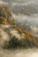 View from the Knopfmacherfelsen into the Danube valley, limestone rock, rock face, mixed forest,