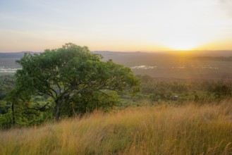 Sunset, Landscape, Lake Victoria and Mabamba Swamp, Lake Victoria, Uganda