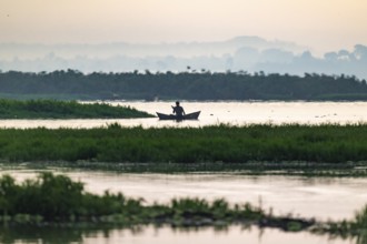 Fisherman in a rowing boat, silhouette, morning mood, Mabamba Swamp, Lake Victoria, Uganda