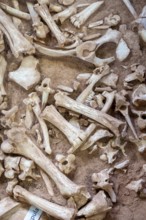 Beulah, Wyoming - The Vore Buffalo Jump, a sinkhole used by Plains Indians as a trap for bison from