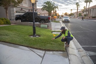 Las Vegas, Nevada - Devyn Choltko, a water waste investigator, patrols a residential neighborhood