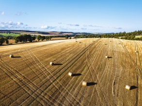 Straw bales in the Scottish fields from a drone, Southeast Scotland, UK