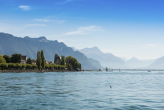 Panorama, lakeside town, Vevey, Lake Geneva, Lac Léman, Canton of Vaud, Switzerland