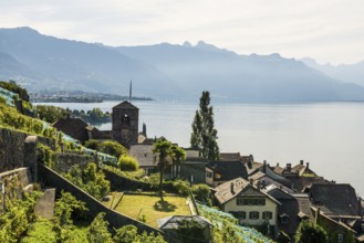 Picturesque village in the vineyards by the lake, Saint-Saphorin, Lavaux, UNESCO World Heritage