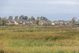 Holiday village Reetdorf Geltinger Birk, Geltinger Birk nature reserve, Geltinger Bucht,