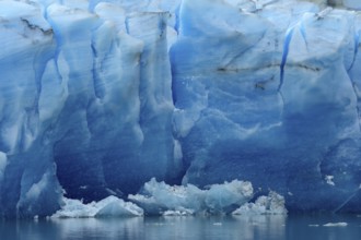 Grey Glacier, in Grey Lake, Torres del Paine National Park, Patagonia, Chile, South America
