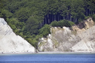 Chalk coast at Jasmund National Park on Rügen, Mecklenburg-Western Pomerania, Germany