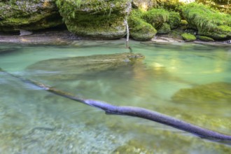 Erlauf Gorge, Purgstall an der Erlauf, Lower Austria, Austria