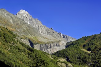 Aiguille du Chardonnet, front foothills of the Argentière glacier, Argentière, Chamonix-Mont-Blanc,