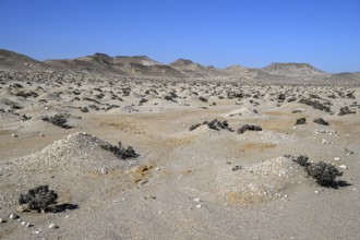 Diamond mining mound in the desert sand at the beginning of the 20th century, Pomona, restricted