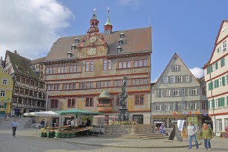 Renaissance town hall with Neptune fountain, market stall and pedestrians, Am Markt, Tübingen,