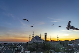 Sunset at the Blue Mosque or Sultan Ahmed Mosque in Istanbul, Turkey