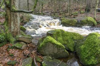 The Ilse at the Heinrich-Heine-Weg near Ilsenburg, Saxony-Anhalt, Germany