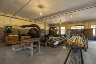 Historic circular saws and tree trunks, former paper factory and mill for the production of