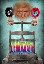 Symbolic image, asocial networks, X-Twitter, Elon Musk, TikTok, false reports, freedom,