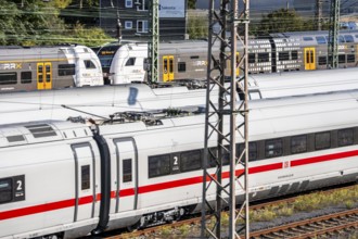 ICE trains on the railway line, RRX, Rhine-Ruhr-Express, regional train, north of Düsseldorf main