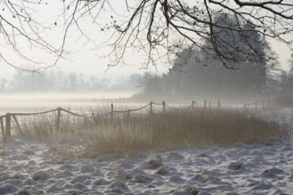 Winterlandschaft, aufsteigender Bodennebel im Licht der Morgensonne, Nordrhein-Westfalen,