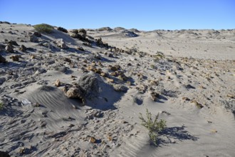 Wüstenlandschaft bei Pomona, Diamentensperrgebiet, bei Lüderitz, Region Karas, Namibia