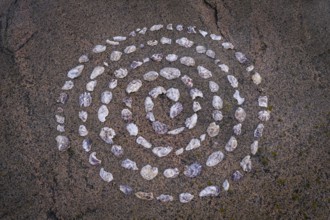 Shell mandala, circle made of shells on a granite rock, Bohus granite, Resö island, Bohuslän,