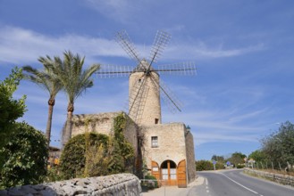 Windmill Moli d'en Pau, Sineu, Majorca, Balearic Islands, Spain