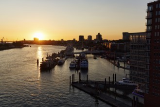 Hamburg harbour, view from the Elbphilharmonie over the Elbe at sunset, jetty, cranes of the