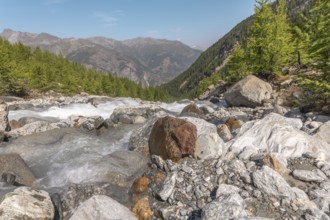 A calm river cascades over smooth stones, surrounded by a lively forest and majestic mountains in