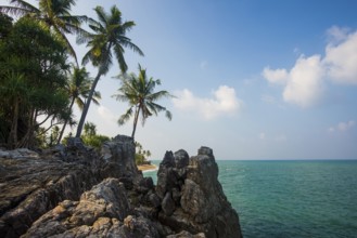 Rocks and coconut palms, Coconut Palm Beach, Sala Dan, Ko Lanta, Koh Lanta, Krabi Province,
