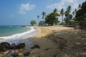 Sandy beach beach and coconut palms, Secret Beach, Sala Dan, Ko Lanta, Koh Lanta, Krabi Province,